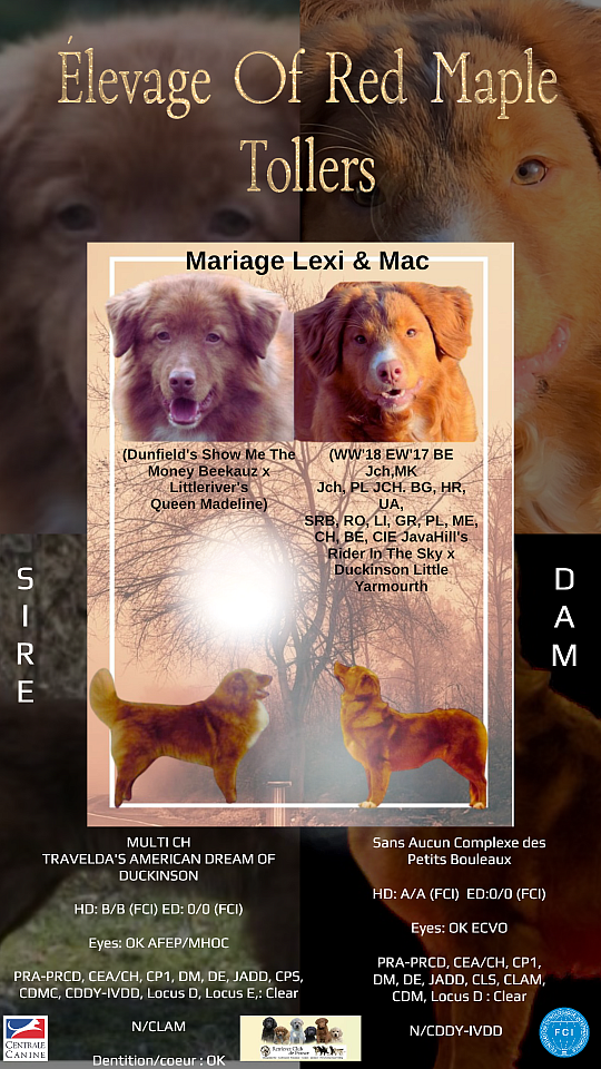 Photos de la portée Lexi et Mac, août 2025