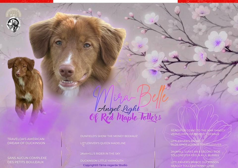 Mira-Belle