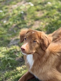 Mira-Belle