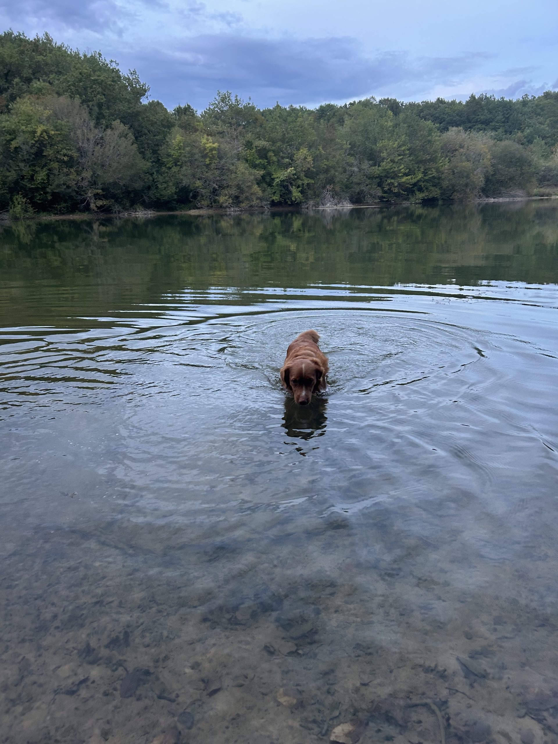 Riva
